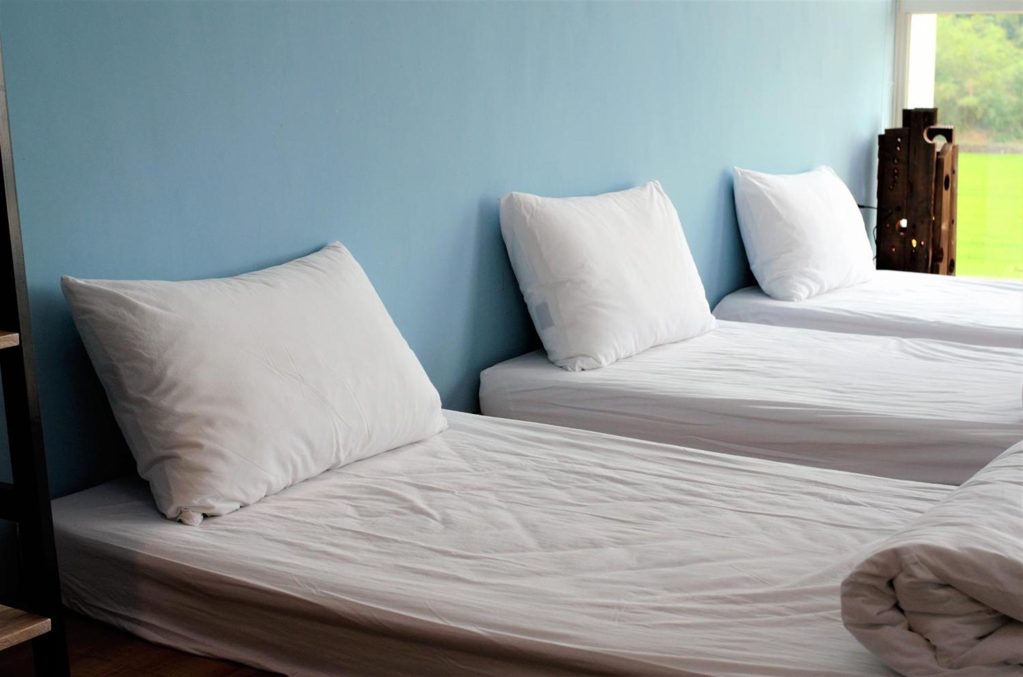 แบร์ฟุต สปริงส์ เบด แอนด์ เบรคฟาสต์ Bed & Breakfast ตงชาน ห้อง รูปภาพ
